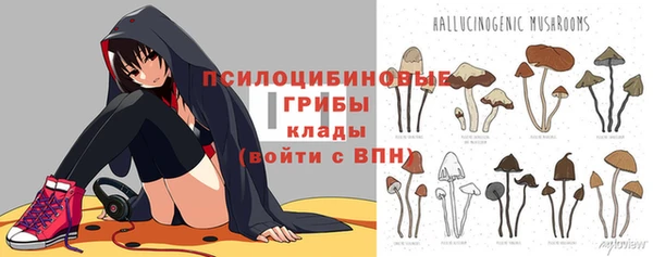 твердый Аркадак
