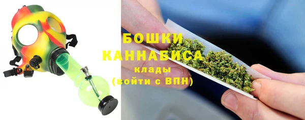 твердый Аркадак
