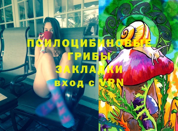 твердый Аркадак