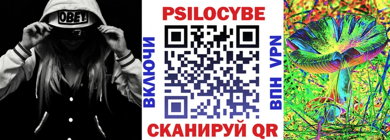площадка состав  сколько стоит  Петухово  Псилоцибиновые грибы мухоморы 
